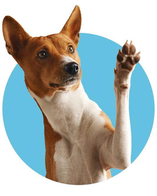 <strong>Protección prolongada</strong>